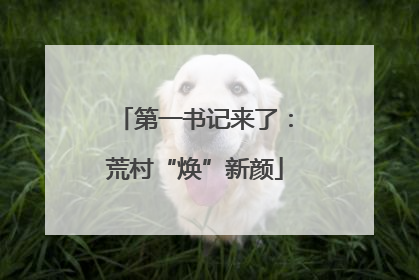 第一书记来了：荒村“焕”新颜