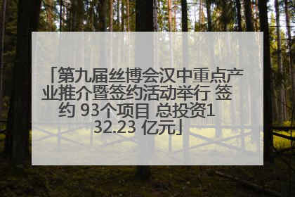 第九届丝博会汉中重点产业推介暨签约活动举行 签约 93个项目 总投资132.23 亿元