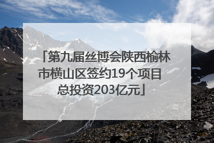 第九届丝博会陕西榆林市横山区签约19个项目 总投资203亿元