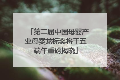第二届中国母婴产业母婴龙标奖将于五端午重磅揭晓