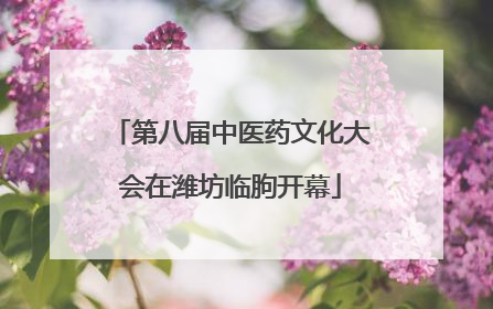 第八届中医药文化大会在潍坊临朐开幕