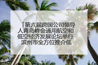 第六届跨国公司领导人青岛峰会通用航空和低空经济发展论坛举行 滨州市全方位推介低空经济发展优势