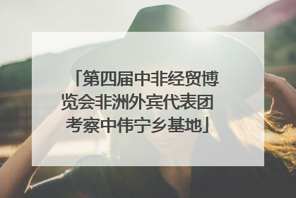 第四届中非经贸博览会非洲外宾代表团考察中伟宁乡基地