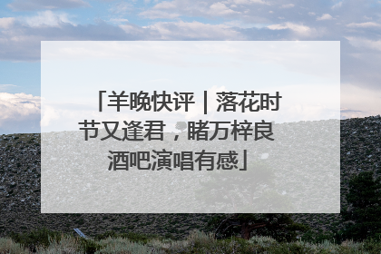 羊晚快评｜落花时节又逢君，睹万梓良酒吧演唱有感