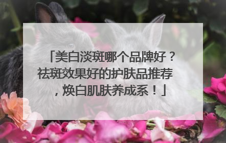 美白淡斑哪个品牌好？祛斑效果好的护肤品推荐，焕白肌肤养成系！