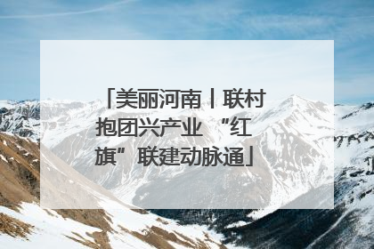 美丽河南丨联村抱团兴产业 “红旗”联建动脉通