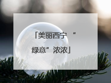 美丽西宁 “绿意”浓浓