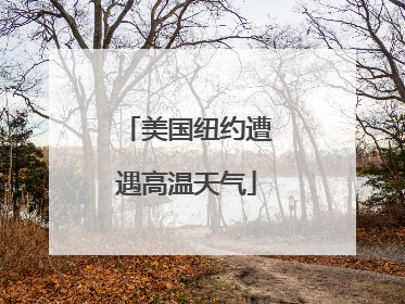 美国纽约遭遇高温天气