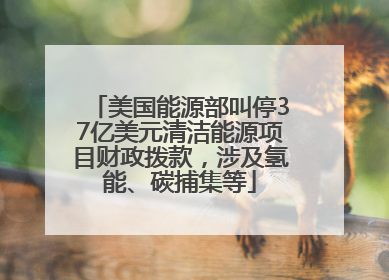 美国能源部叫停37亿美元清洁能源项目财政拨款，涉及氢能、碳捕集等