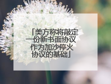 美方称将敲定一份新书面协议 作为加沙停火协议的基础