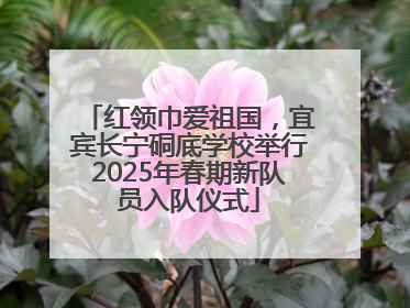 红领巾爱祖国，宜宾长宁硐底学校举行2025年春期新队员入队仪式