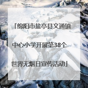 绵阳市盐亭县文通镇中心小学开展第38个世界无烟日宣传活动