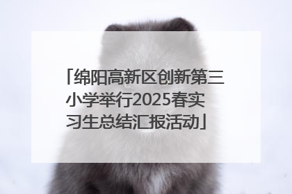 绵阳高新区创新第三小学举行2025春实习生总结汇报活动
