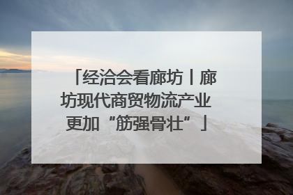 经洽会看廊坊丨廊坊现代商贸物流产业更加“筋强骨壮”