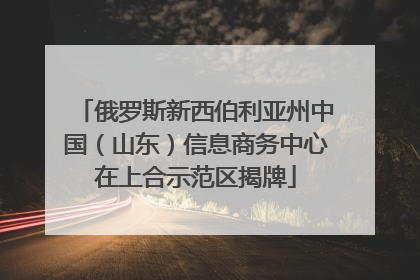 俄罗斯新西伯利亚州中国（山东）信息商务中心在上合示范区揭牌