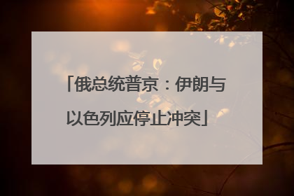 俄总统普京：伊朗与以色列应停止冲突