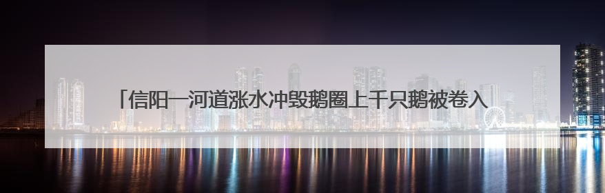 信阳一河道涨水冲毁鹅圈上千只鹅被卷入洪流，当地蓝天救援队一小时赶鹅上岸