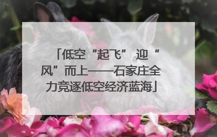 低空“起飞” 迎“风”而上——石家庄全力竞逐低空经济蓝海