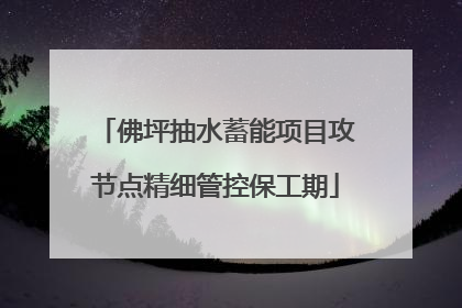佛坪抽水蓄能项目攻节点精细管控保工期