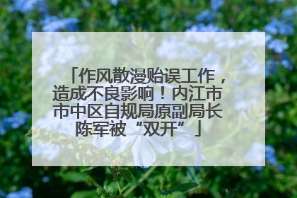 作风散漫贻误工作，造成不良影响！内江市市中区自规局原副局长陈军被“双开”