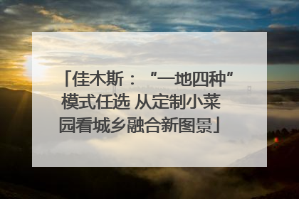 佳木斯：“一地四种” 模式任选 从定制小菜园看城乡融合新图景
