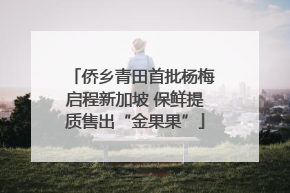 侨乡青田首批杨梅启程新加坡 保鲜提质售出“金果果”