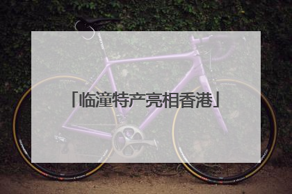 临潼特产亮相香港