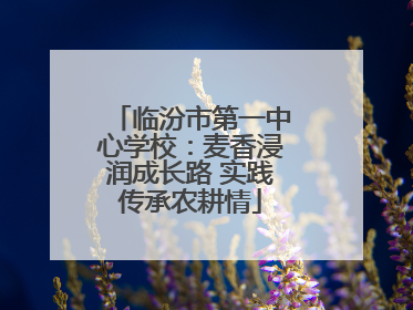临汾市第一中心学校：麦香浸润成长路 实践传承农耕情