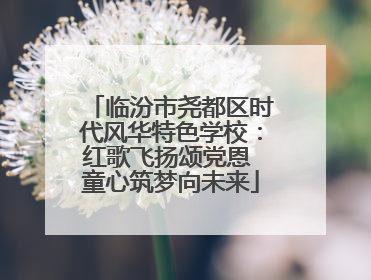 临汾市尧都区时代风华特色学校：红歌飞扬颂党恩 童心筑梦向未来