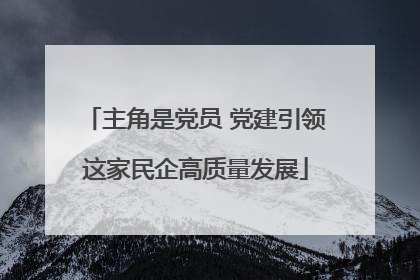 主角是党员 党建引领这家民企高质量发展