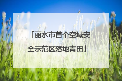 丽水市首个空域安全示范区落地青田