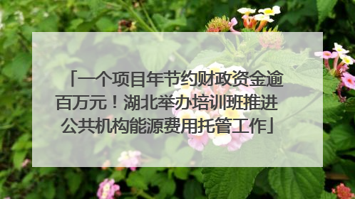 一个项目年节约财政资金逾百万元！湖北举办培训班推进公共机构能源费用托管工作