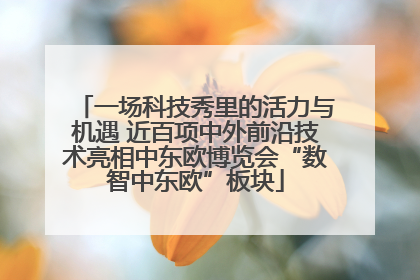 一场科技秀里的活力与机遇 近百项中外前沿技术亮相中东欧博览会“数智中东欧”板块