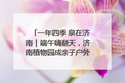 一年四季 泉在济南｜端午嗨翻天，济南植物园成亲子户外热门打卡地