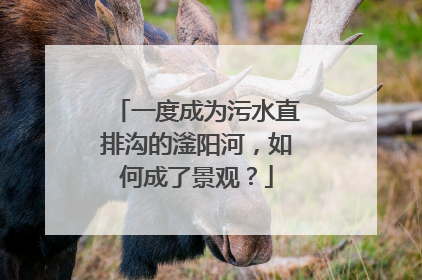 一度成为污水直排沟的滏阳河，如何成了景观？