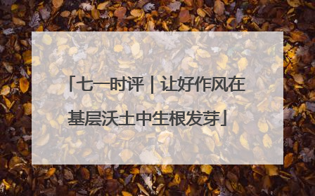 七一时评｜让好作风在基层沃土中生根发芽