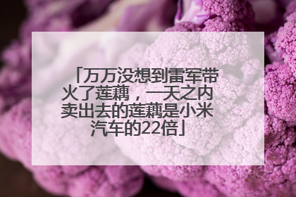 万万没想到雷军带火了莲藕，一天之内卖出去的莲藕是小米汽车的22倍