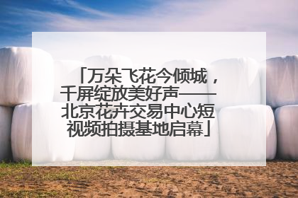 万朵飞花今倾城，千屏绽放美好声——北京花卉交易中心短视频拍摄基地启幕