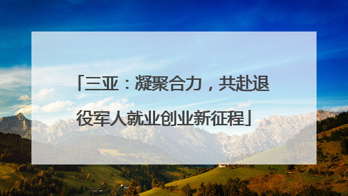 三亚：凝聚合力，共赴退役军人就业创业新征程