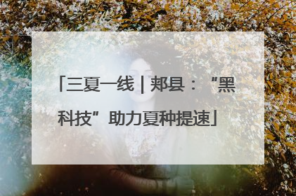 三夏一线｜郏县：“黑科技”助力夏种提速