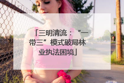 三明清流：“一带三”模式破局林业执法困境