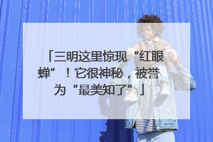 三明这里惊现“红眼蝉”！它很神秘，被誉为“最美知了”