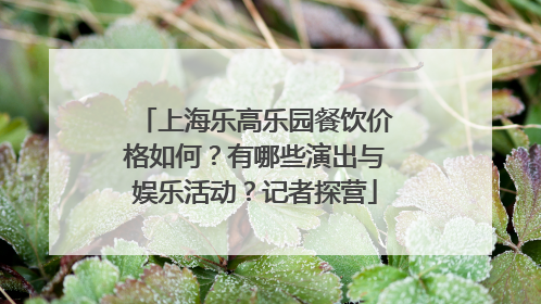 上海乐高乐园餐饮价格如何？有哪些演出与娱乐活动？记者探营