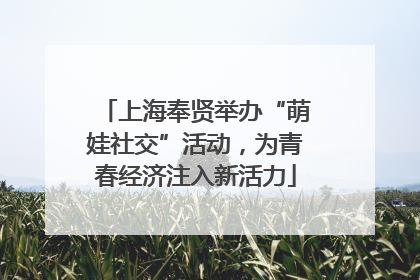 上海奉贤举办“萌娃社交”活动，为青春经济注入新活力