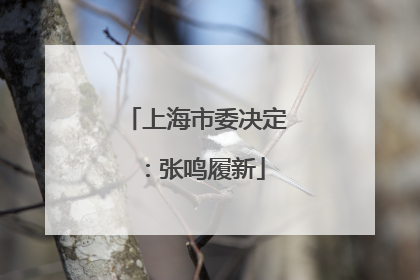 上海市委决定：张鸣履新