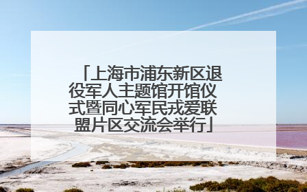 上海市浦东新区退役军人主题馆开馆仪式暨同心军民戎爱联盟片区交流会举行