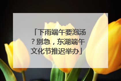 下雨端午要泡汤？别急，东湖端午文化节推迟举办