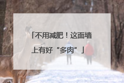 不用减肥！这面墙上有好“多肉”