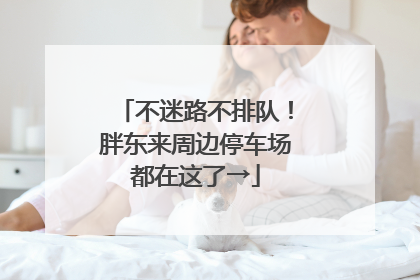 不迷路不排队！胖东来周边停车场都在这了→