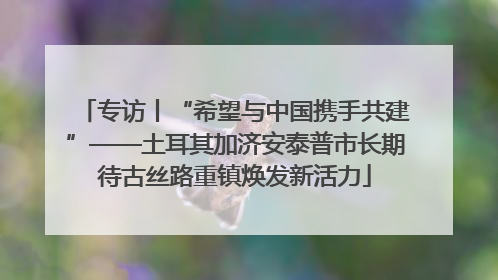 专访丨“希望与中国携手共建”——土耳其加济安泰普市长期待古丝路重镇焕发新活力